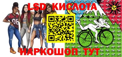 a pvp Гатчина