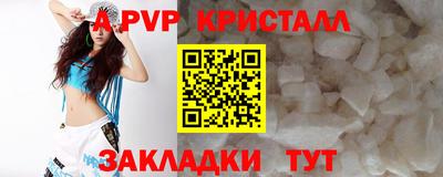 a pvp Гатчина