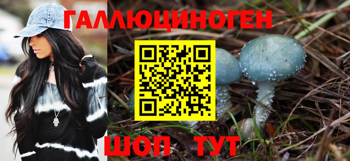Псилоцибиновые грибы мухоморы  Псилоцибиновые грибы Psilocybine cubensis  Вход с VPN  Кыштым 
