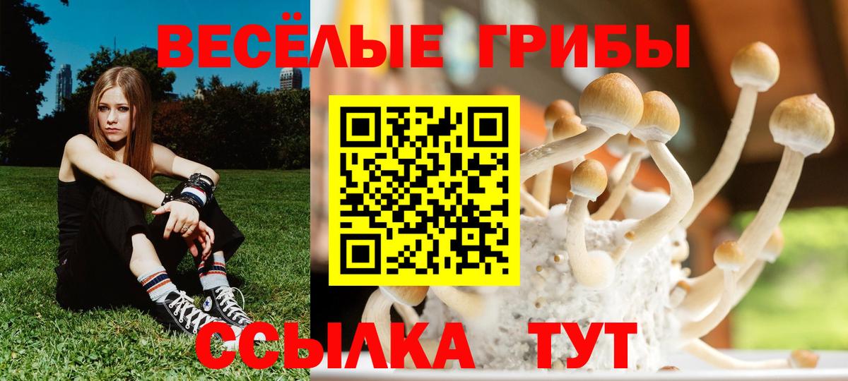 Галлюциногенные грибы GOLDEN TEACHER Кыштым